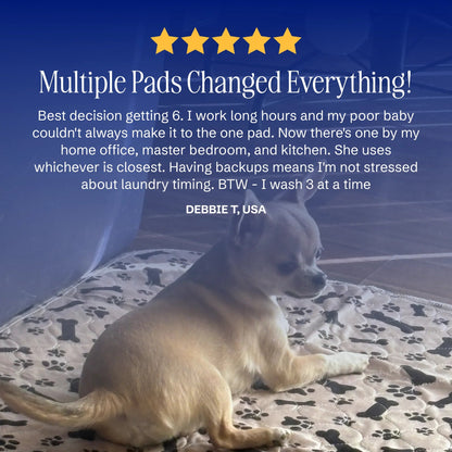 PuppyPad™ - The Last Pee Pad You'll Get